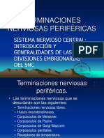 32 Terminaciones Nerviosas Periféricas Del SNC