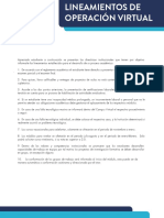 Lineamientos de Operación Virtual-33 PDF