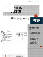KKPMT III Optical Anatomy Adhe