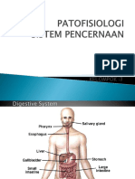 Anatomi_Fisiologi_Sistem_Pencernaan.ppt.pptx