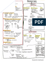 EKG.pdf