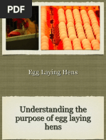 EggLayingHensPres PDF