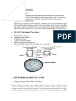 JARINGAN PARENKIM antum esther irshafira.docx