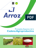 agroeconomiaarroz3.pdf