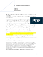 Derecho Constitucional I Derechos y Garantías Constitucionales