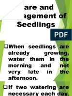 3rd Lesson 1-Seedlings Care and Management