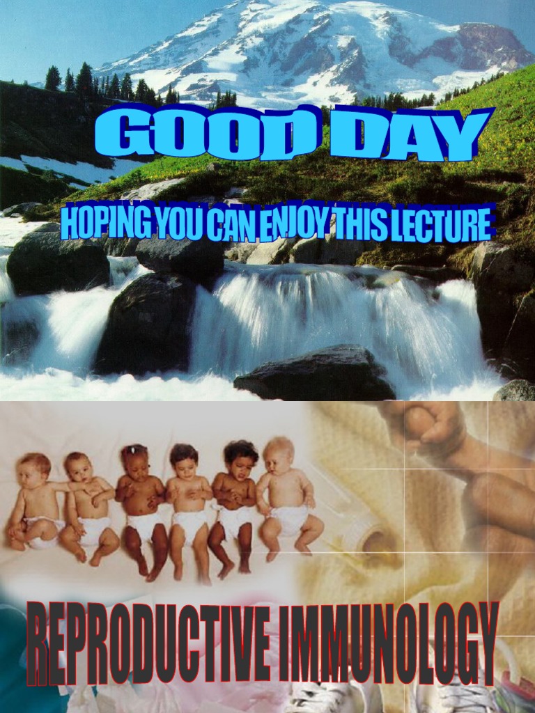 Reproductive Immunology Pdf Antibody Infertility