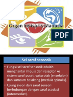 PPT Organ Sensoris Anatomi Fisiologi