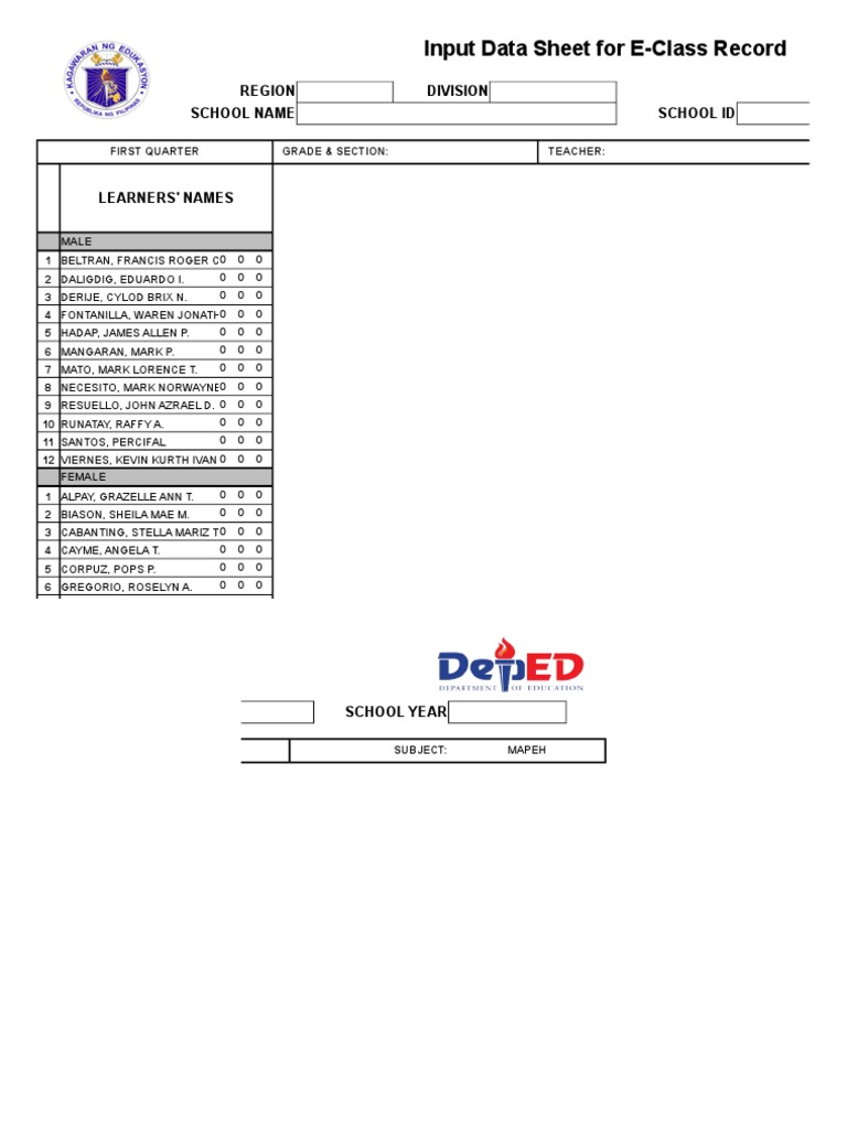 E-Class Record Input Data Sheet | PDF