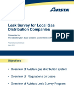Leak Survey System