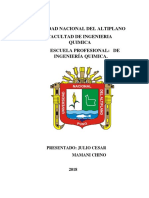 Curtiembre Universidad Nacional Del Altiplano