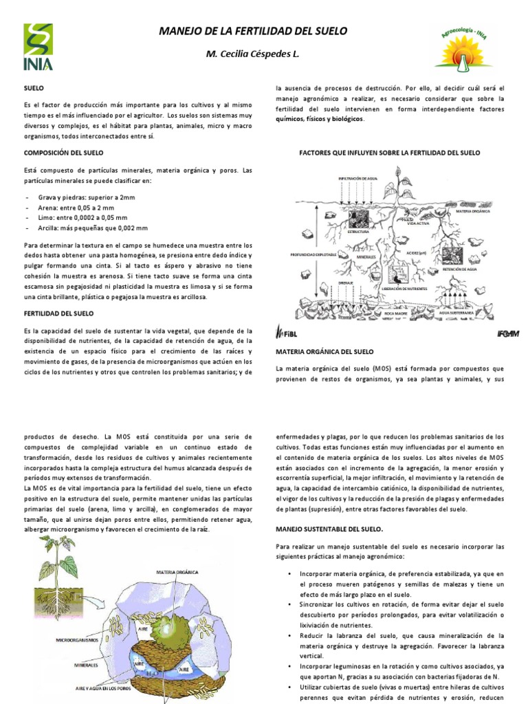 Manejo de La Fertilidad Del Suelo | PDF | Suelo | Organismos