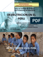 Desnutricion en El Perú