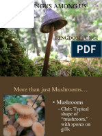 Fungi Group 3