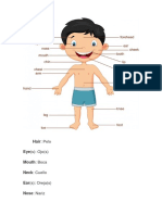 Partes Cuerpo Humano