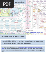 2.1 Molecules To Metabolism-STUDENT