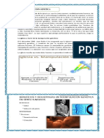 MANIPULACION GENETICA