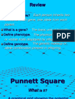 5b. Punnett Square Lesson