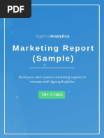 Marketing Report (Sample) : Build Your Own Custom Marketing Reports in Minutes With Agencyanalytics