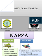 Flip Chart Napza.pptx