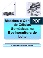 Mastite.pdf