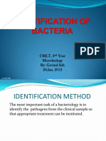 Identification of Bacteria PDF