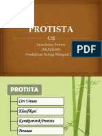 Protista