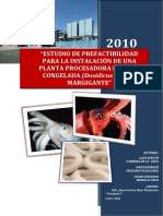 Pota Congelada Final PDF