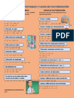 Productos Notables y Casos de Factorización