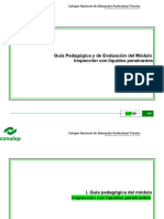 a5°GuiaInpesccionconliquidospenetrantesoficial.doc