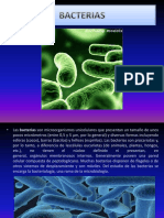 Diapositivasbacterias 121030112935 Phpapp01
