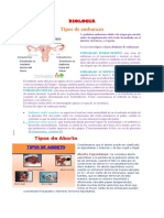 BIOLOGIA - Tipos de Embarazo