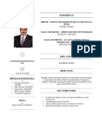 CV of Sajid Khokhar PDF