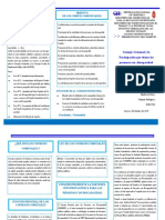 triptico Consejo comunal.pdf