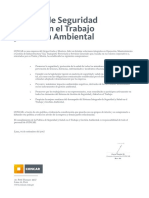Politica Seguridad Salud PDF