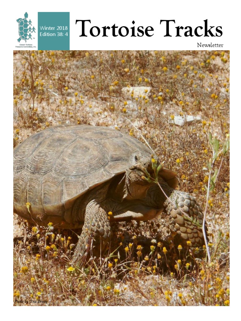 Tortoise Tracks Winter 2018 | PDF | Nonprofit Organization | Organisms