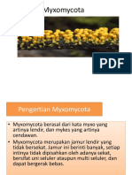 Myxomycota-1