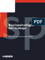 Sociopsicologia Del Trabajo PDF