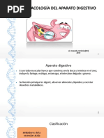 Helicobacter Pylori Gastritis Docx Inflamacion Especialidades