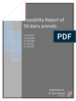 feasibility_report_of_50_dairy_animal.docx