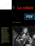 La Celula-Teoriacelularpdf PDF