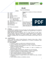 Calculo Integral.pdf