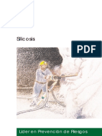 Manual SILICOSIS PDF