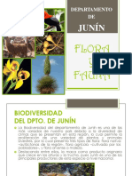 Biodiversidad-Junin (1).pptx