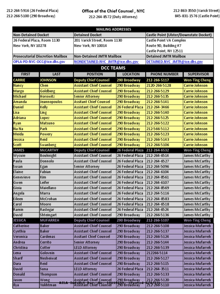 Organizational Chart NYC PDF Leisure