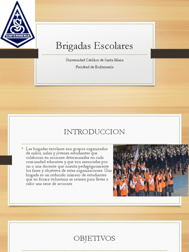 Brigadas Escolares | PDF | Enfermería | Salón de clases