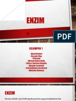 BIOKIM ENZIM 2