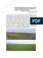 Resumen_proyecto.pdf