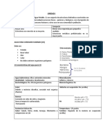 Resumen Parcial 1