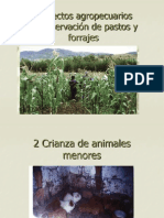 Proyectos agropecuarios: conservación, cría y protección